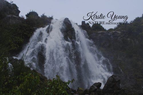 Waratah Waterfall