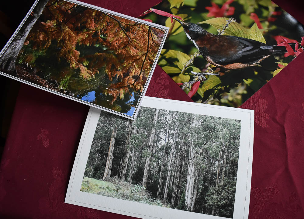 How large can a photo be printed without losing quality?