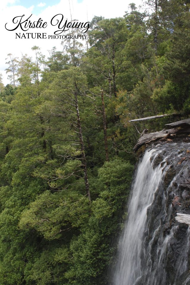 Waterfall on the Hatfield River 2