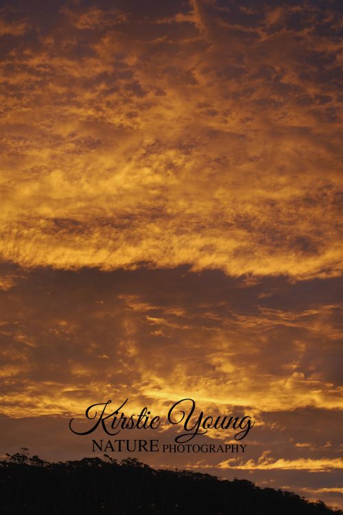 Sunset Firey Orange