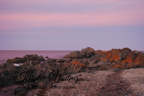 Sunset on the Foreshore 2