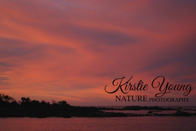 Sunset on the Foreshore 4