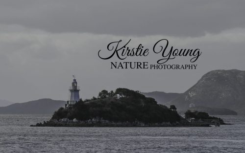 Bonnet Island Lighthouse 1