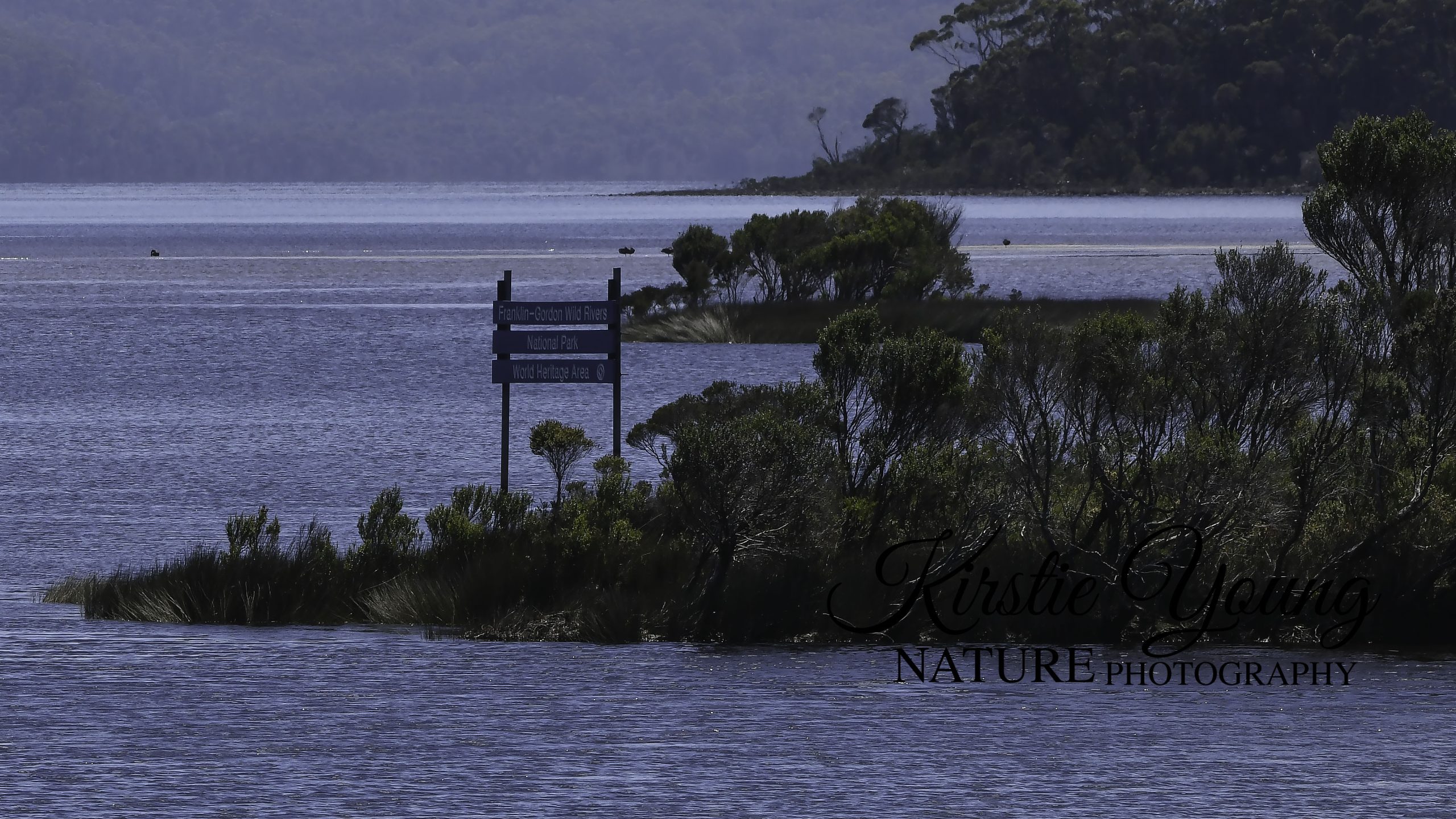 Gordon River Cruise