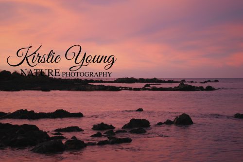 Sunset on the Foreshore 3