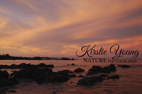 Sunset on the Foreshore 1