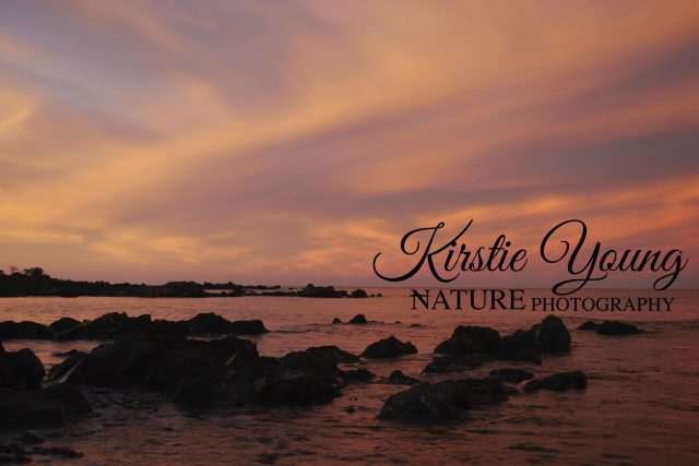 Sunset on the Foreshore 1
