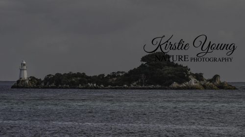 Bonnet Island Lighthouse 2