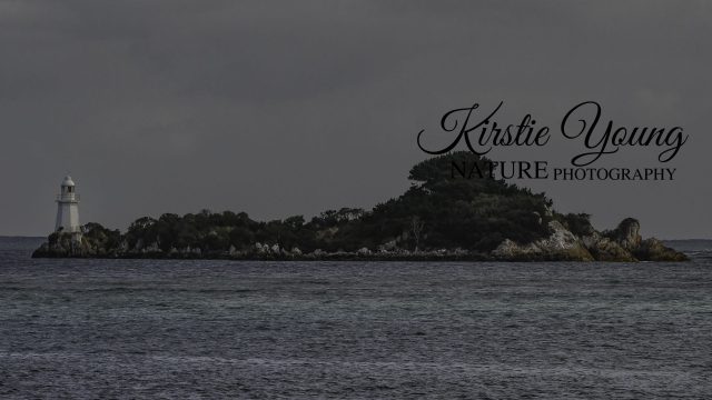 Bonnet Island Lighthouse 2