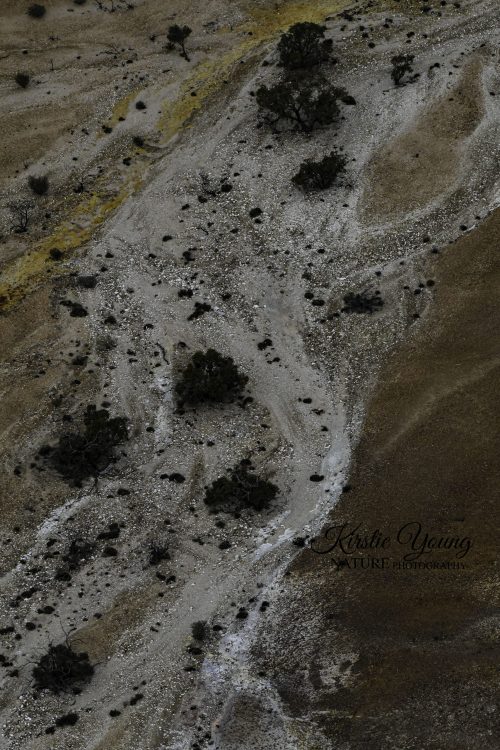 Dry Watercourse in the Painted Hills 1