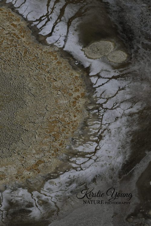 When the Water has Gone 1 (Award Winner)