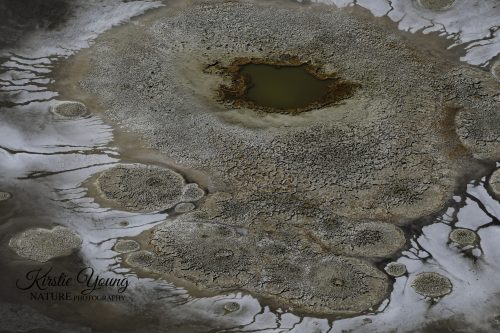 Mound Springs on Lake Eyre