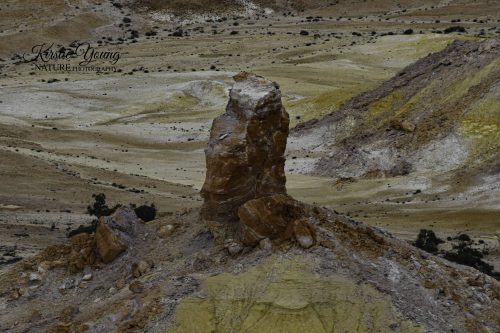 Stone Pillar Painted Hills (Award Winner)