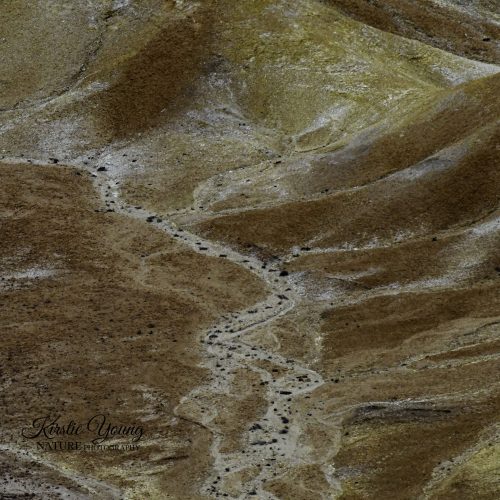 Dry Watercourse in the Painted Hills 4