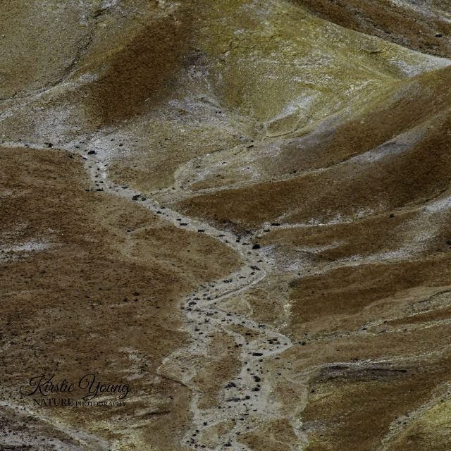 Dry Watercourse in the Painted Hills 4