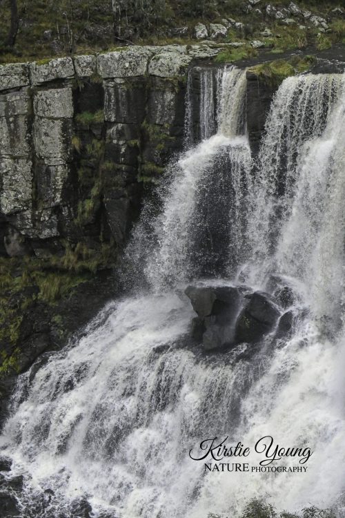 Ebor falls 1