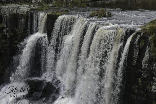 Ebor Falls 4