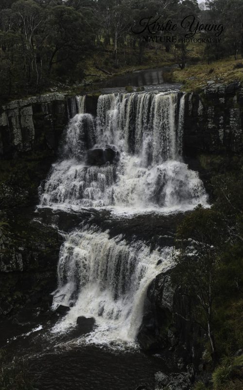 Ebor Falls 3