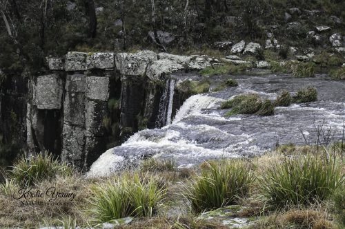 Ebor Falls 2
