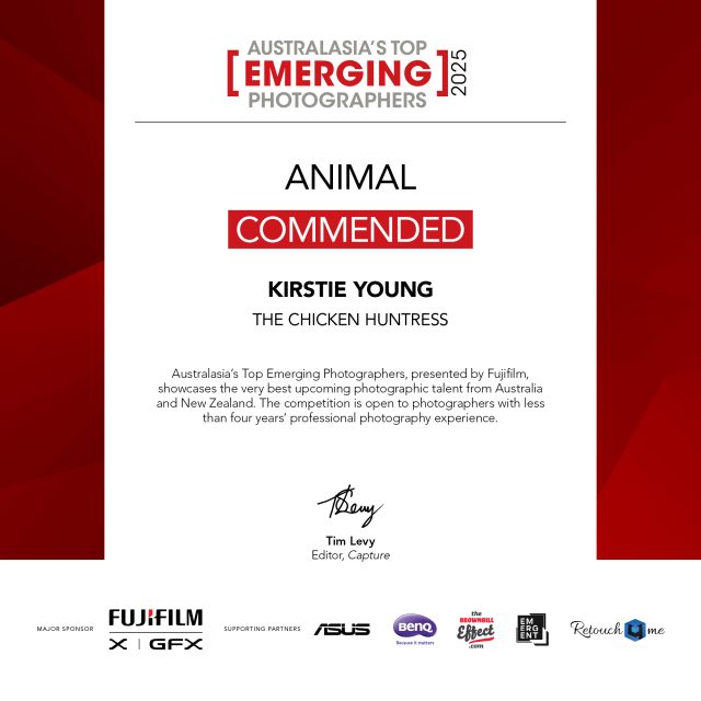 The Chicken Huntress 1 (Award winner) - Image 2