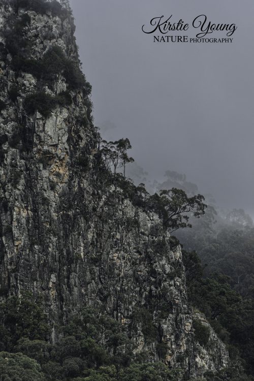 Nimbin Rocks 4