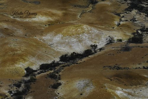 Dry Watercourse in the Painted Hills 3