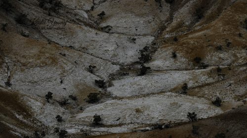Dry Watercourse in the Painted Hills 2 (Award Winner)