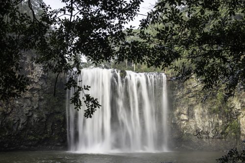 Dangar Falls 1