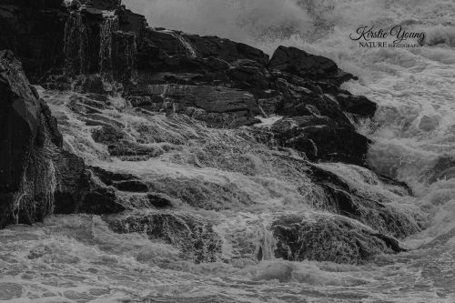 Tidal Surge 1