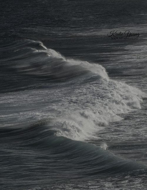 Waves at Moonee Beach
