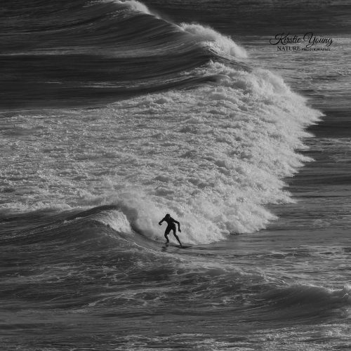 The Surfer (Award Winner)