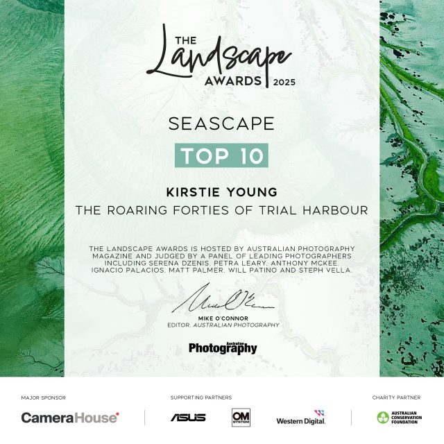 The Roaring Forties of Trial Harbour (Award winner) - Image 2