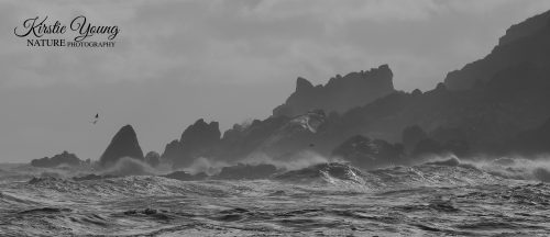 Trial Harbour 2