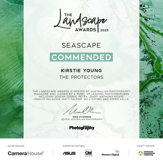 The Protectors (Award Winner) - Image 2