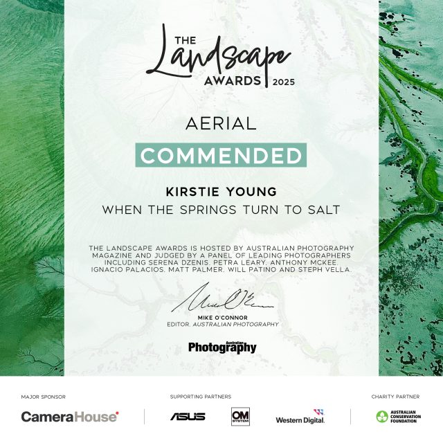 When the Springs Turn to Salt (Award Winner) - Image 2
