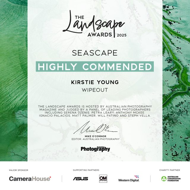 Wipeout (Award Winner) - Image 2
