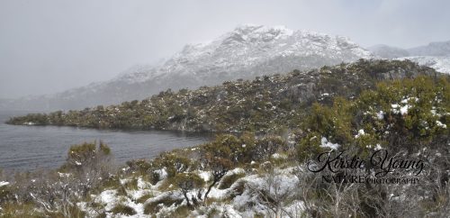 Dove Lake Under Snow