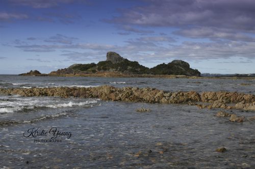 Goat Island 2