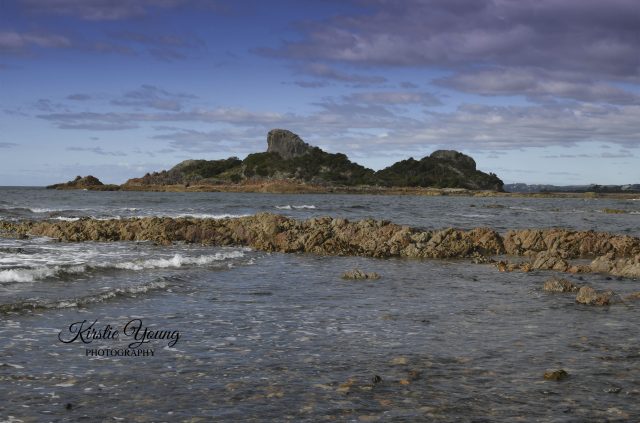 Goat Island 2