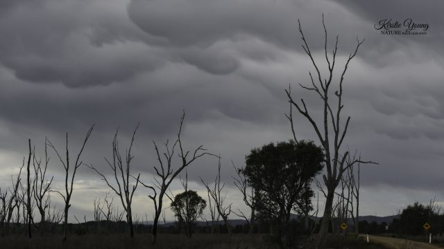 Winton Wetlands 4