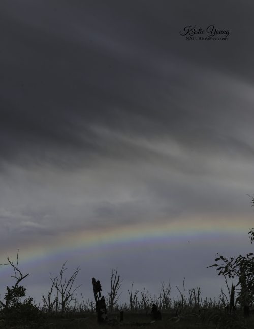 Winton Wetlands 5